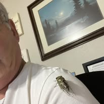 Cicada spirit medicine